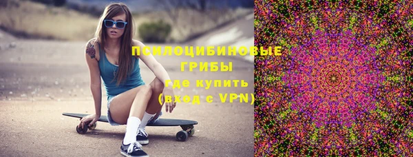 стафф Алзамай
