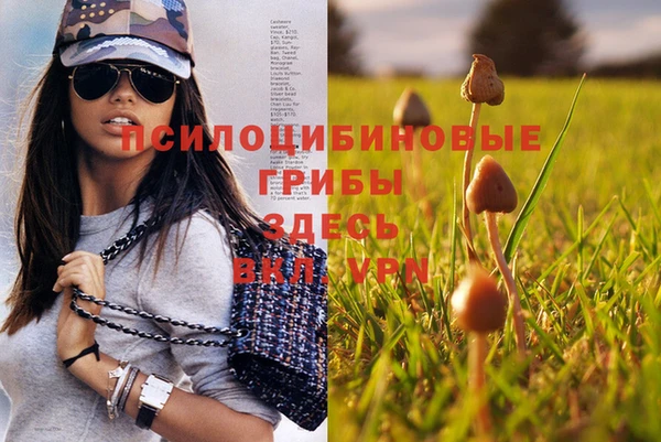бошки Алексеевка